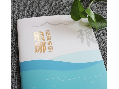 琅琊艺术纸画册印刷