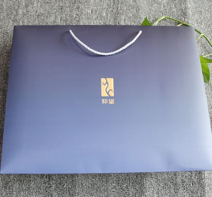 仰望手提袋定制