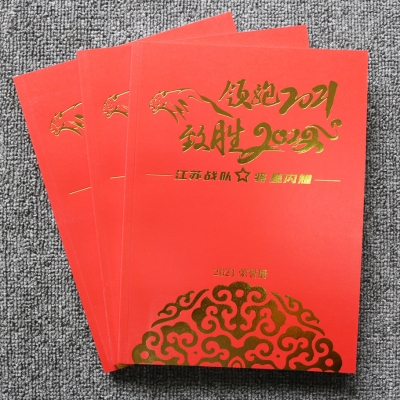 人寿年会宣传册